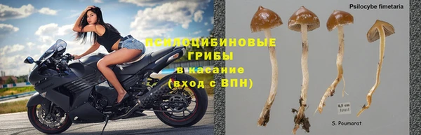 ешки Заволжье