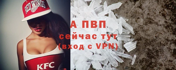 тгк Приозерск