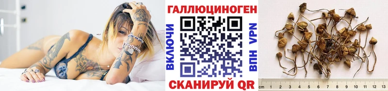 MEGA онион  Алейск  Псилоцибиновые грибы прущие грибы  закладки 